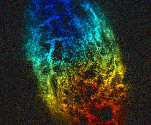 Carte radio colorée de la galaxie M33 montrant la répartition et le mouvement de l’hydrogène neutre.