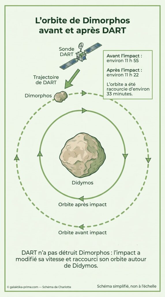 Schéma comparant l’orbite de Dimorphos autour de Didymos avant et après l’impact de la sonde DART.