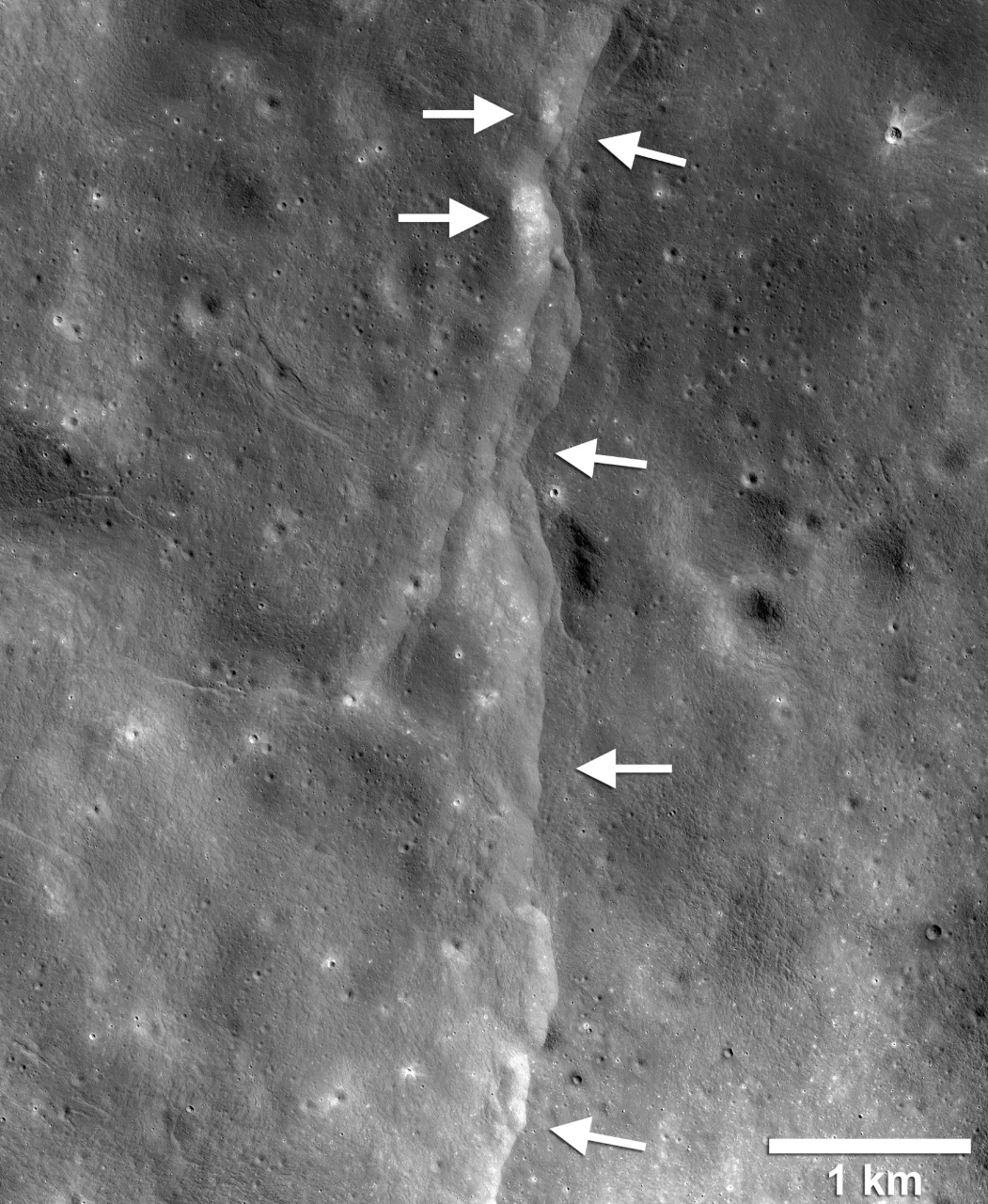 Image of lunar lobate thrust fault scarp